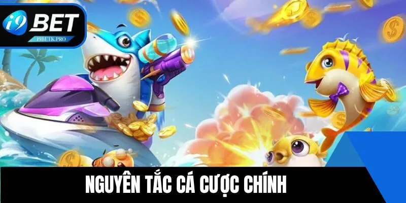 Nguyên tắc săn thưởng cần biết