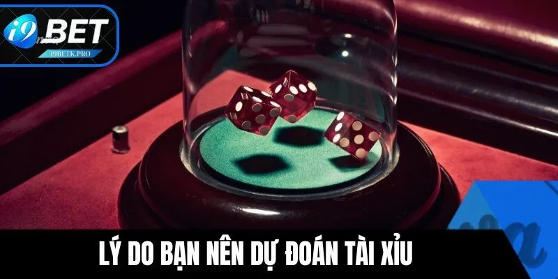Lý do bạn nên dự đoán trong cách chơi tài xỉu